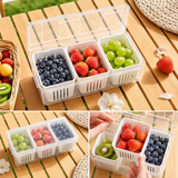 CAIXA ORGANIZADORA FRESH BOX COM 3 DIVISÓRIAS